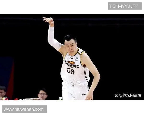 韩德君：从青涩少年到篮球巨星的辉煌人生与奋斗历程