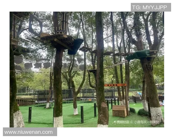 武汉极限运动队中路突破的成就与挑战分析